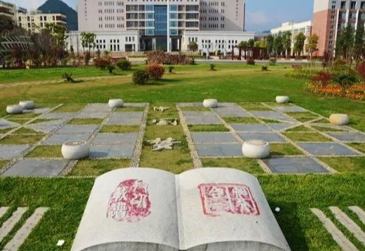 c9大学录取分数线