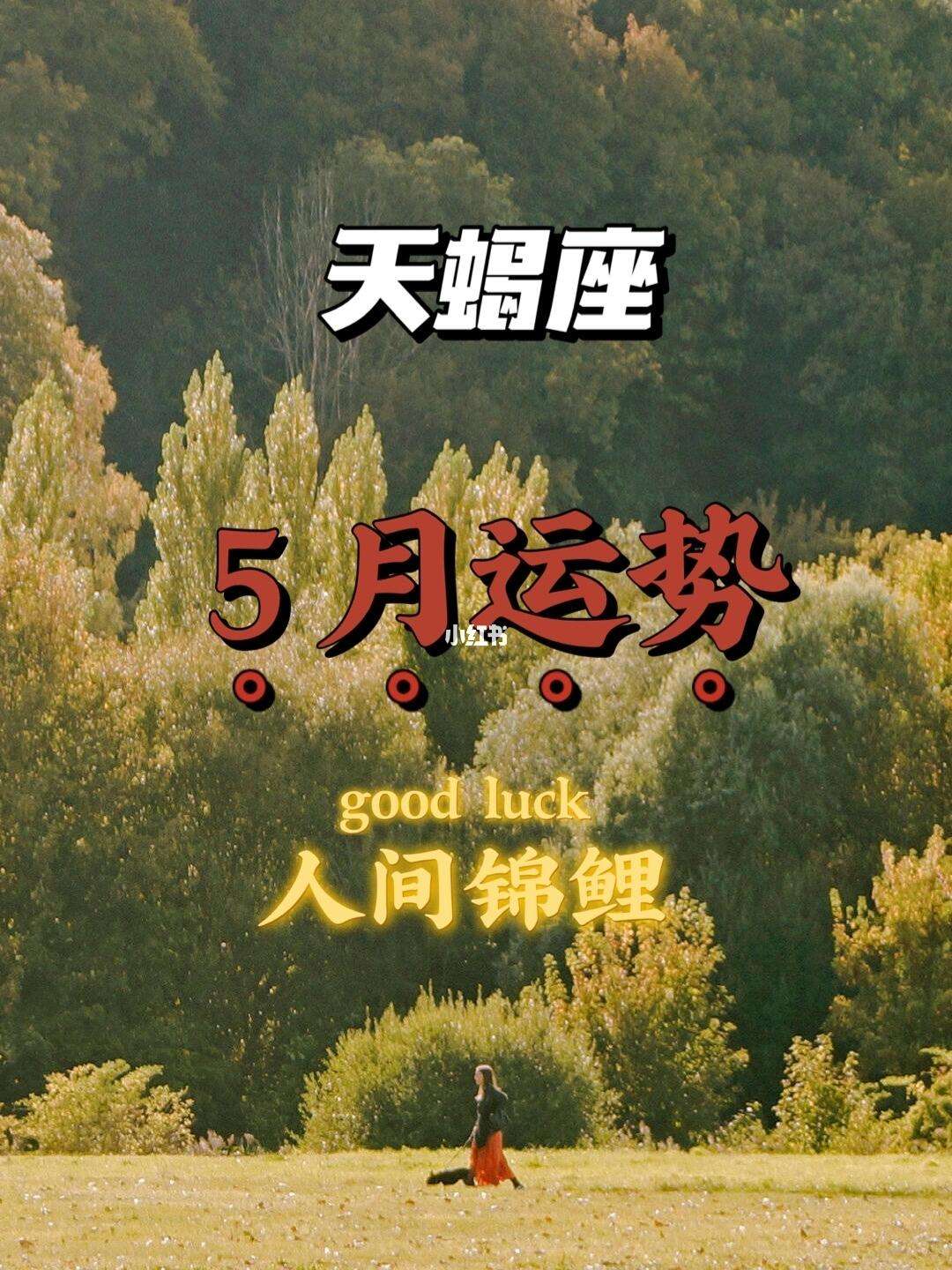星座运势好运连连(星座运势hao123) 星座运势好运连连(星座运势hao123)