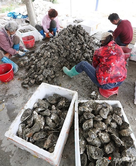 湛江遂溪做什么赚钱(在湛江遂溪开个奶茶店需要多少钱) 湛江遂溪做什么赚钱(在湛江遂溪开个奶茶店需要多少钱)