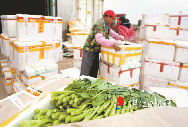 湛江遂溪做什么赚钱(在湛江遂溪开个奶茶店需要多少钱) 湛江遂溪做什么赚钱(在湛江遂溪开个奶茶店需要多少钱)