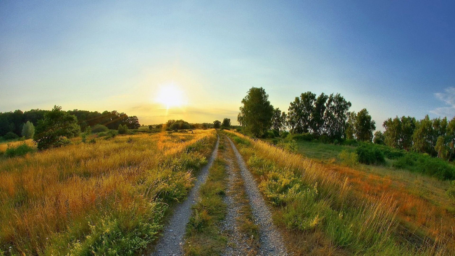 婚姻是一座围城，城外的人想进去，城里的人想出来。