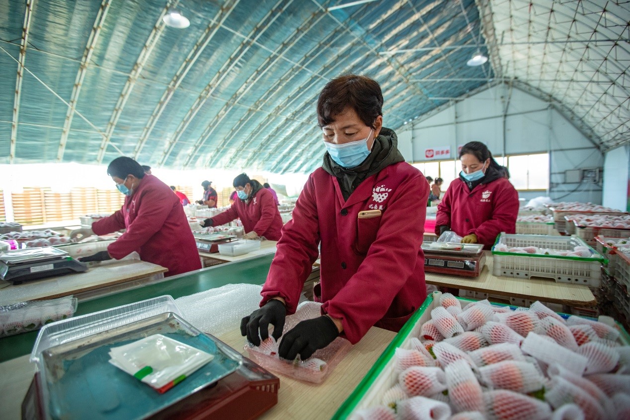 绥芬河做什么最赚钱(绥芬河有什么好吃的地方)