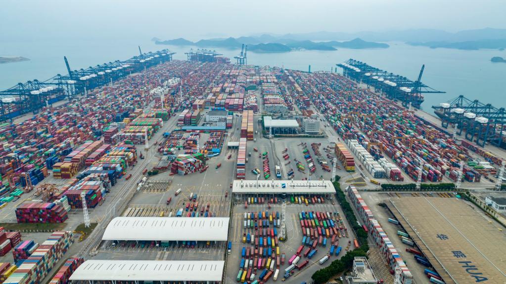 深圳码头做什么赚钱(深圳码头打单好不好做)