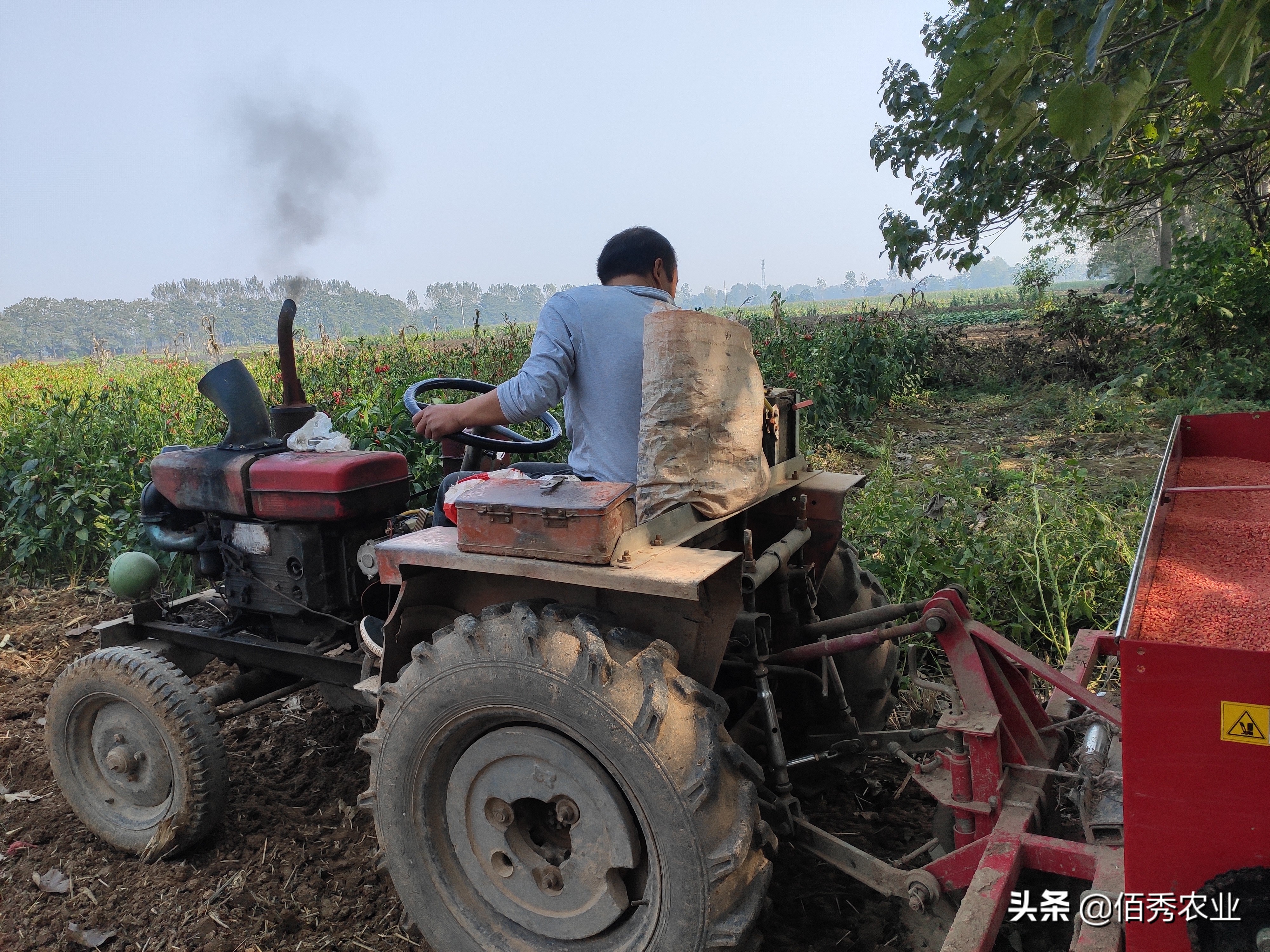 农村做什么会赚钱(农村做什么赚钱快最好)