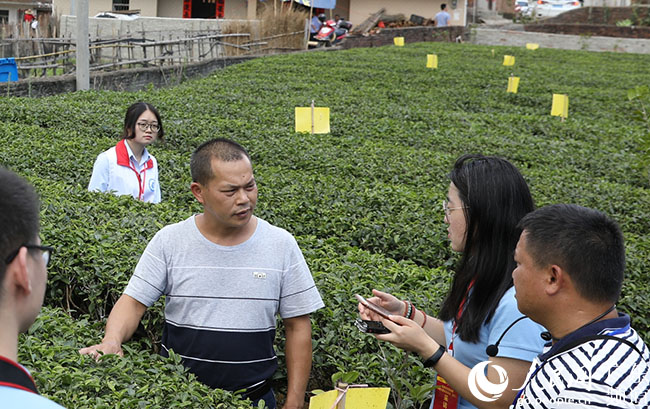 在河源做什么赚钱(在河源做什么工作赚钱)