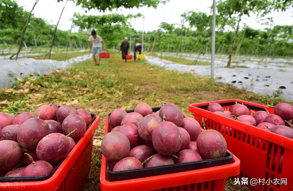 人村做什么赚钱(人村做什么赚钱快)