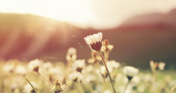 星座运势雷老师(继续播放星座运势)