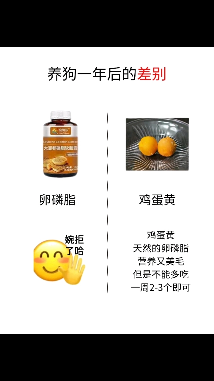 关于口臭娘娘游戏攻略的信息