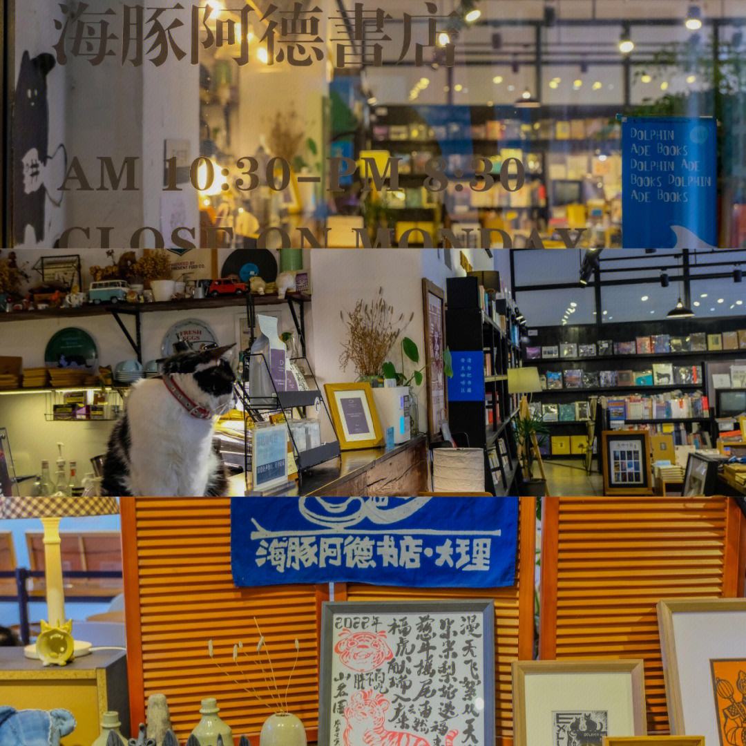 来大理做什么赚钱(来大理做什么赚钱快)