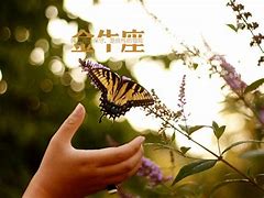 星座大茄运势(星座运势星大咖) 星座大茄运势(星座运势星大咖)