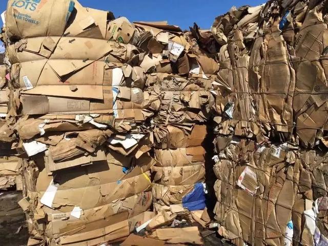 做什么废品处理赚钱(做什么废品处理赚钱呢)